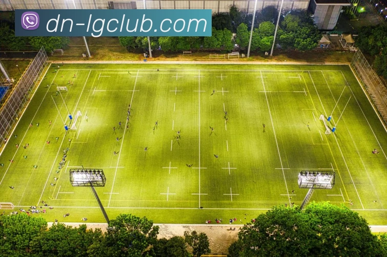 App Interface Preview