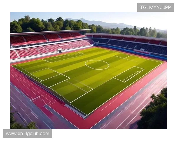 全面解析标准化八人足球场地尺寸与布局要点示意图详解指南大全版